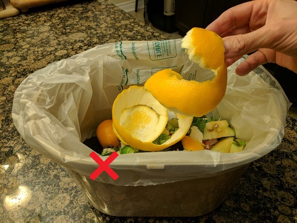 5 razones para no tirar las sobras de comida a la basura - Mundo Positivo